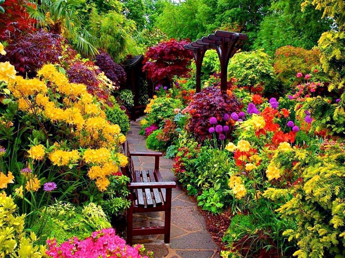Сады времен значение. Цветы в саду. Красивый сад. Сад с цветами. Осенние цветы в саду.