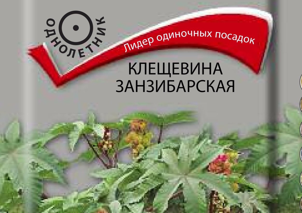 Рицинус коммунис