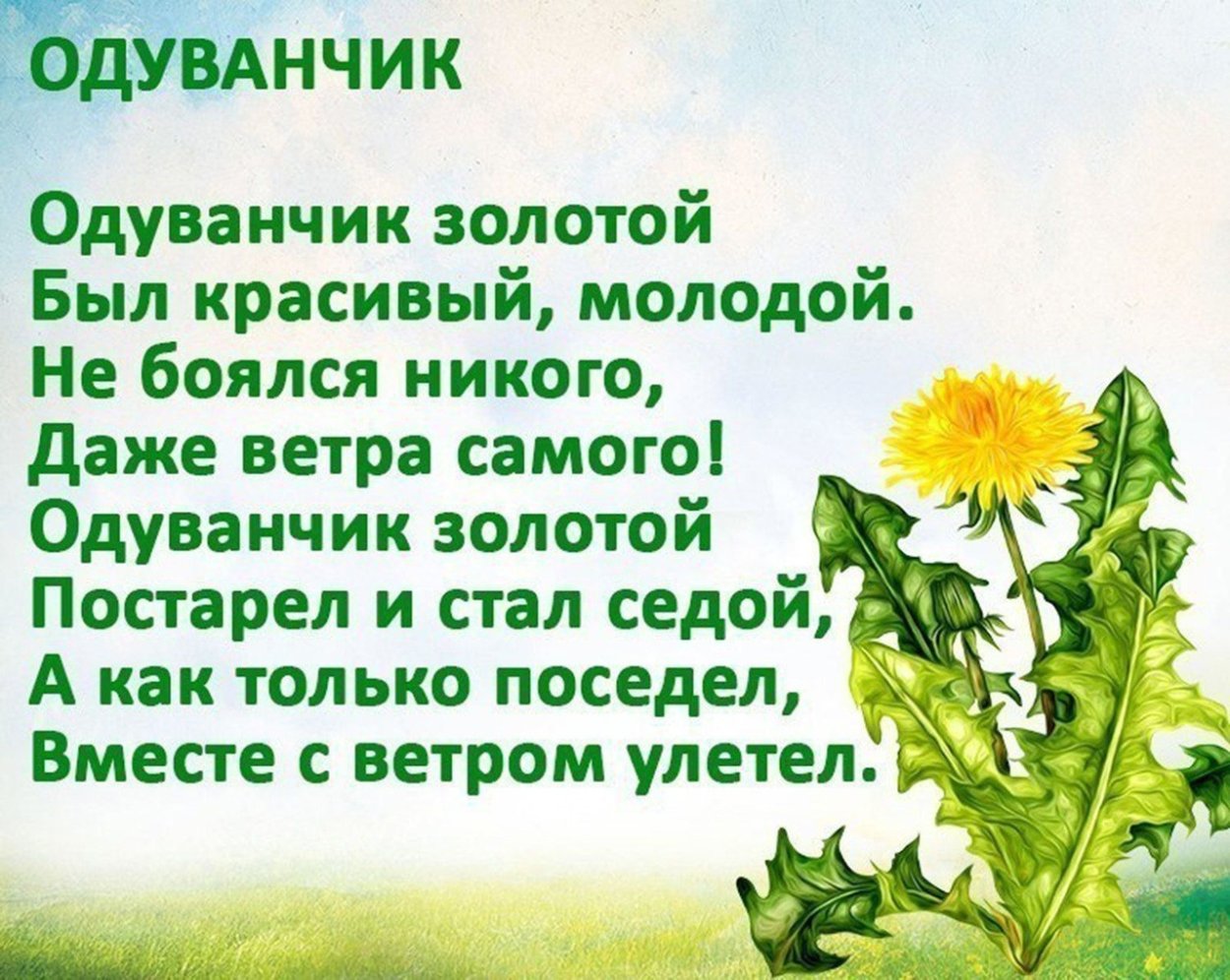 Стихи про цветы для детей