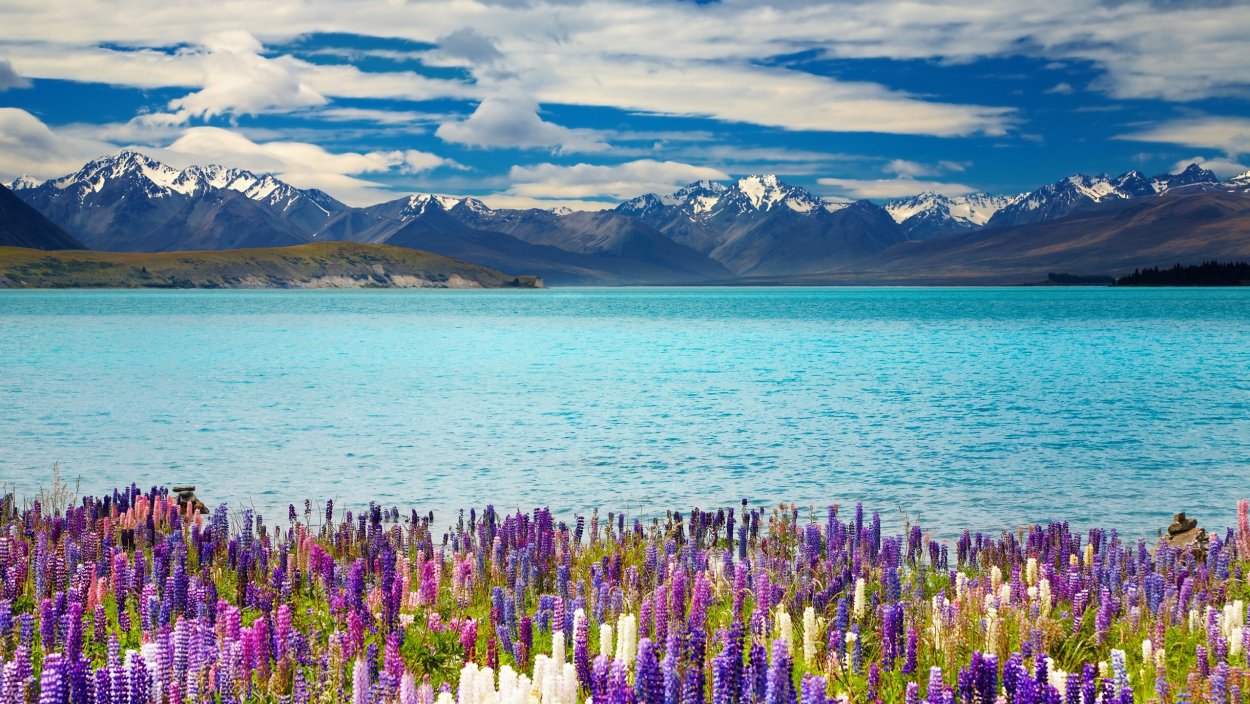Lake Tekapo, новая Зеландия