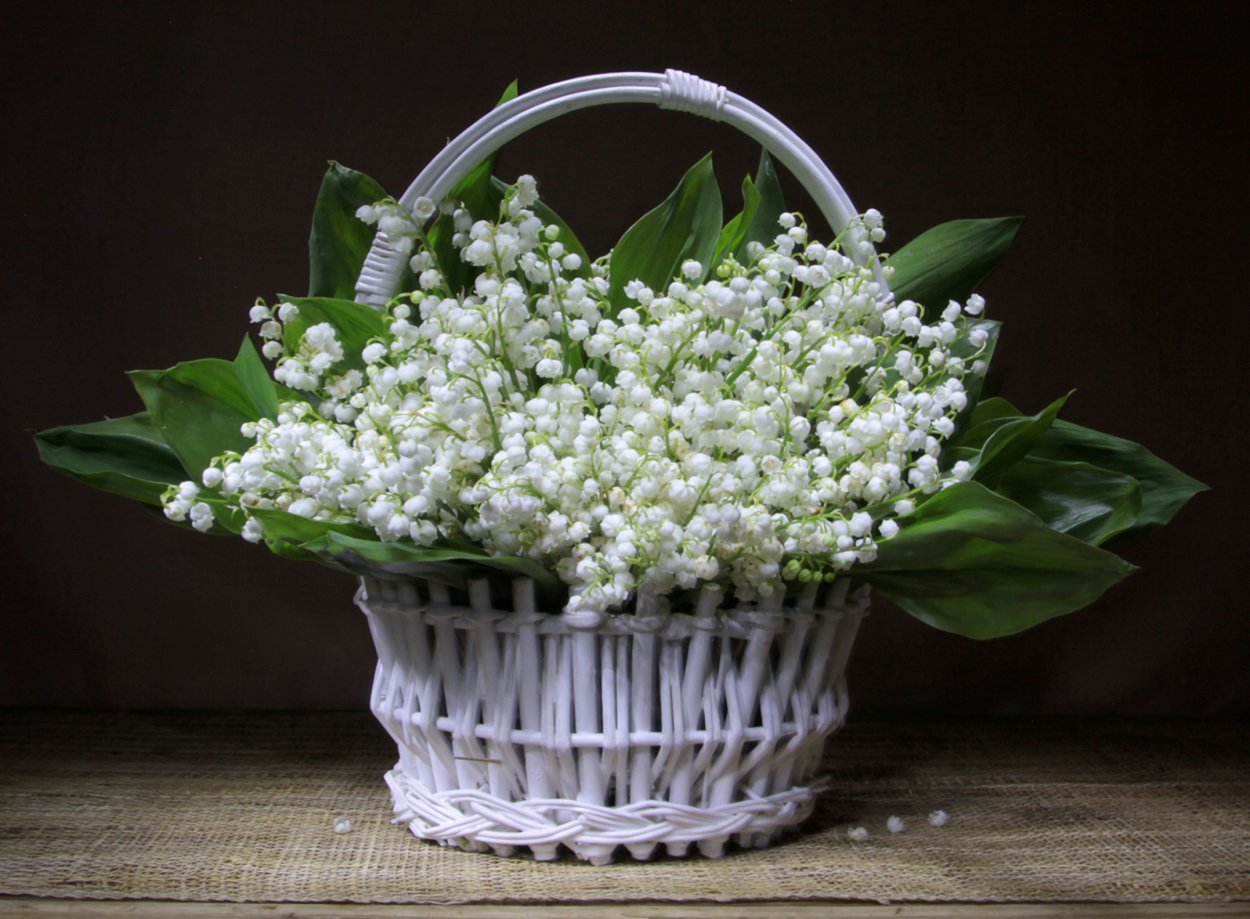 Ландыши в корзинке