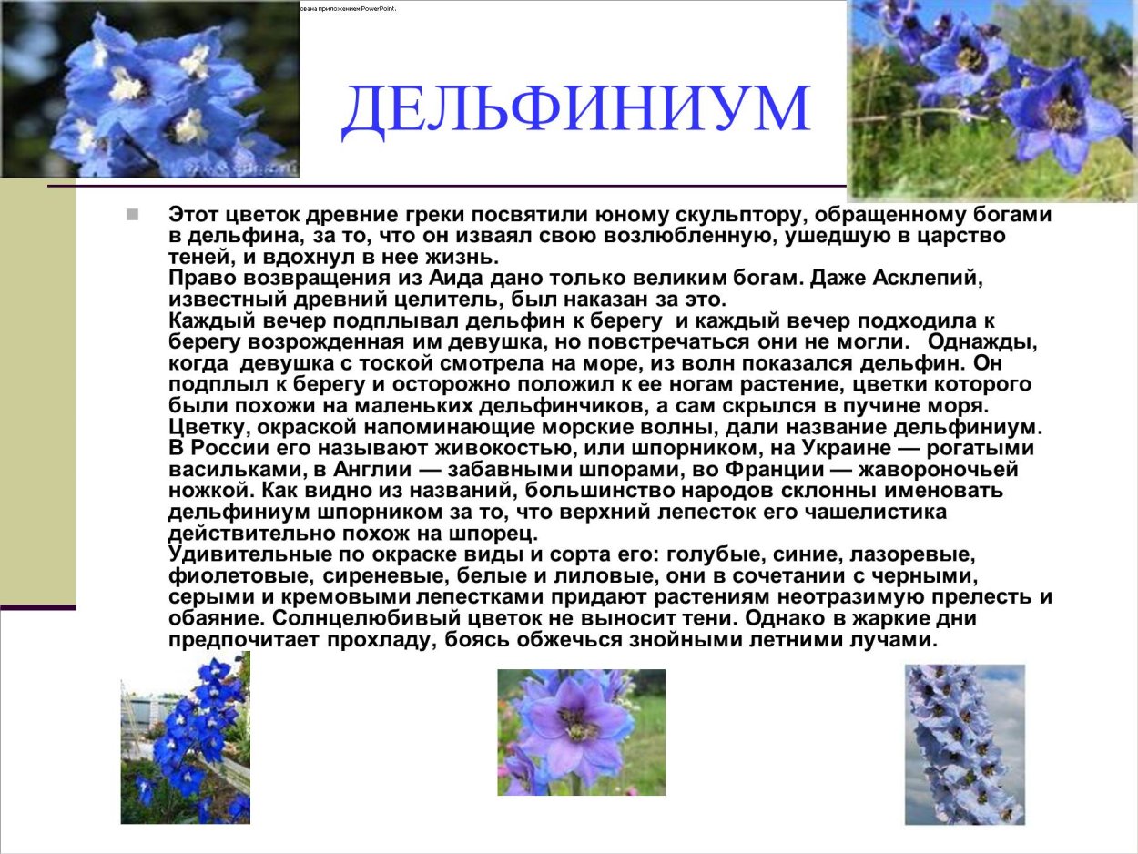 Мифы о цветах
