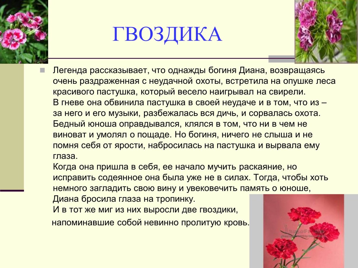 Легенды о цветах