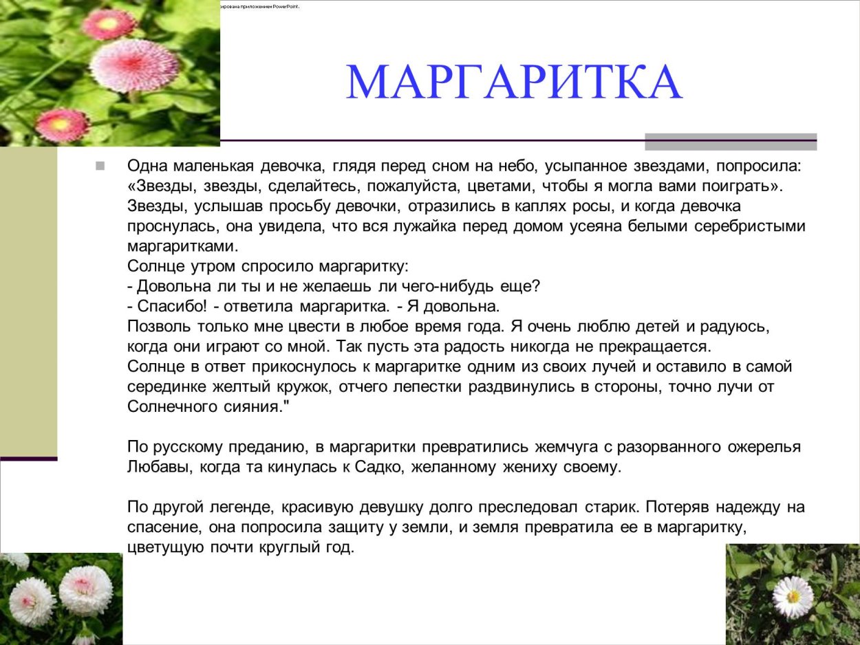 Легенды о цветах маргаритки