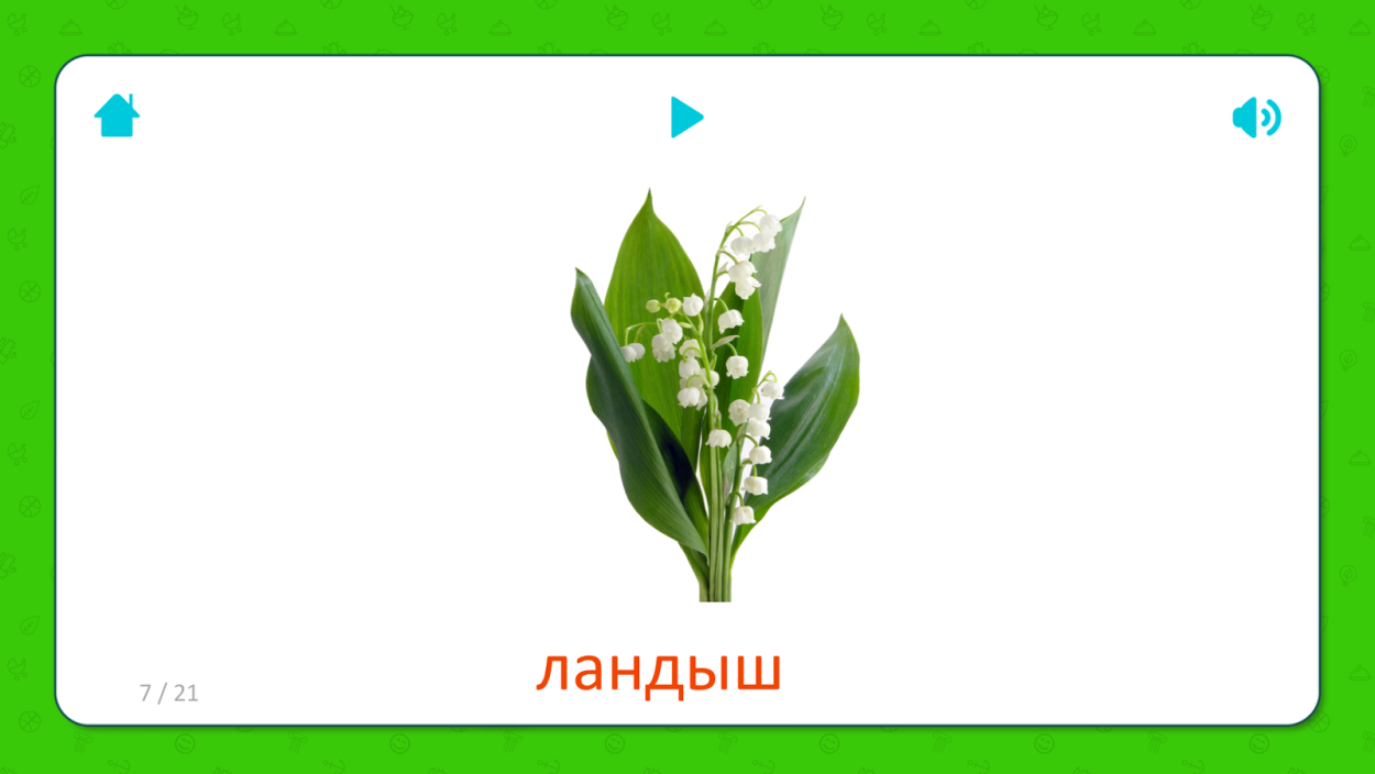 Ландыши солнце