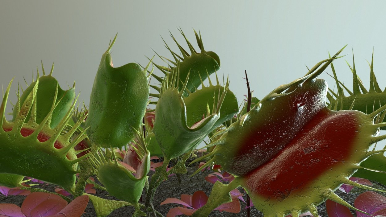 Венерина мухоловка