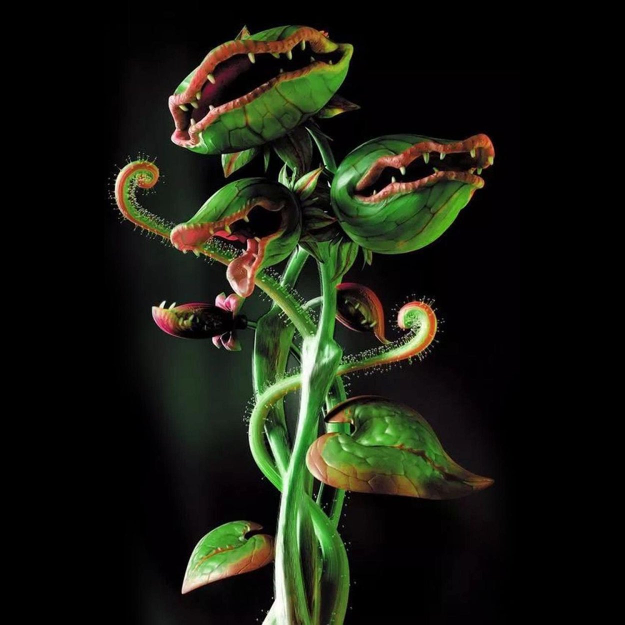 Цветок хищник Венерина мухоловка