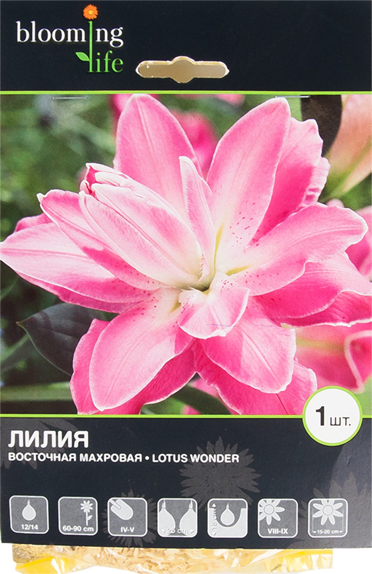 Лилия Лотус Джой