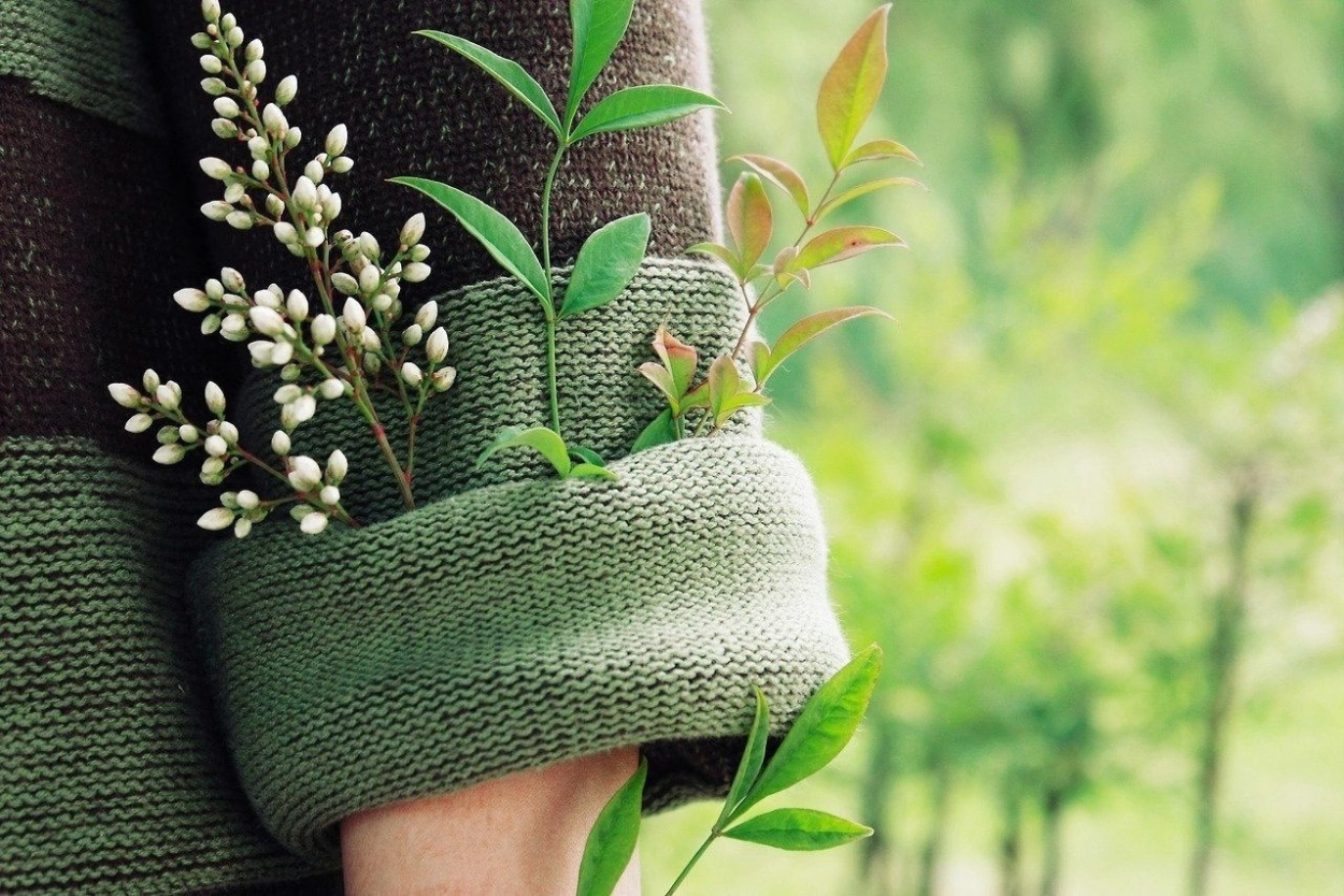 Эстетика зеленого