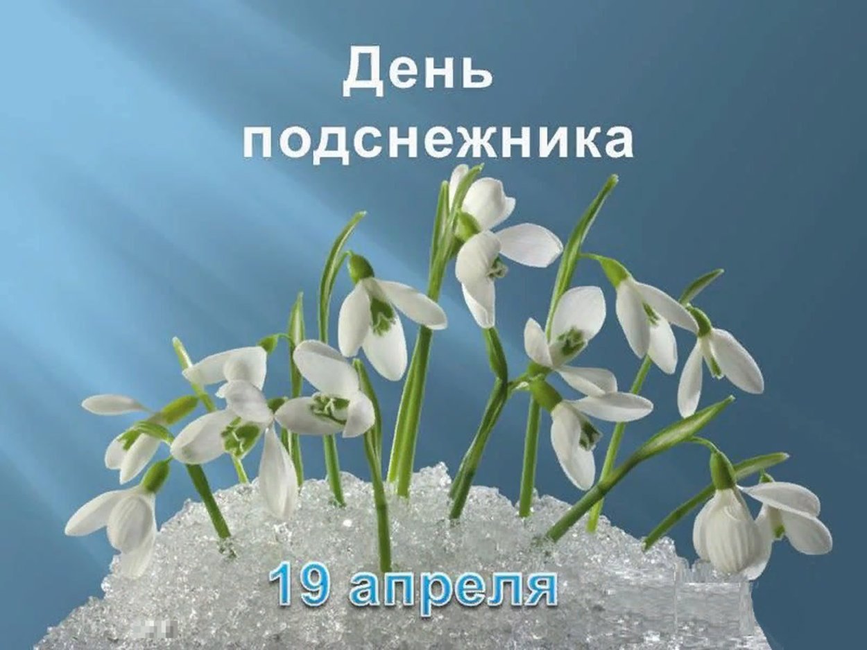 День подснежника