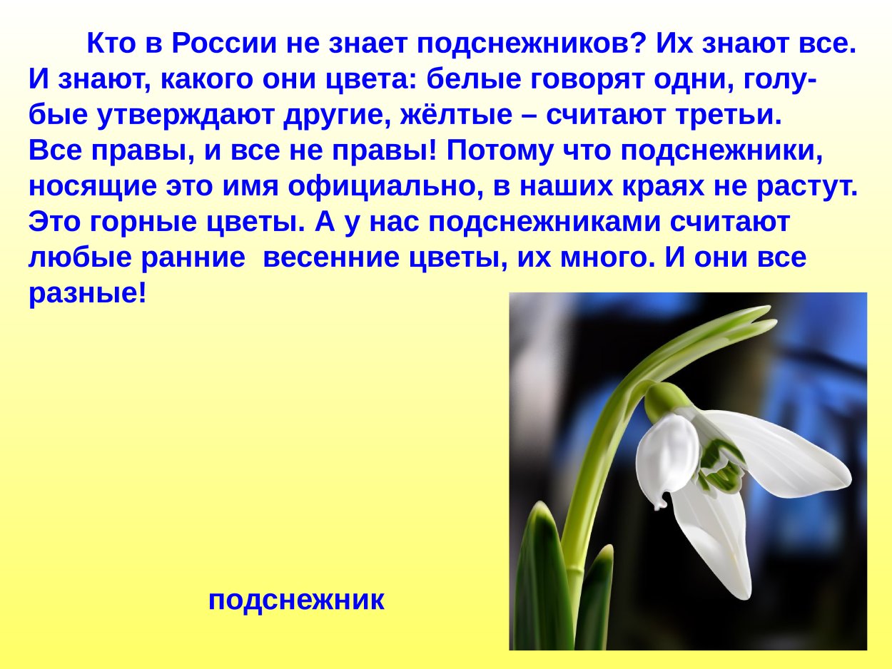 Рассказ о подснежнике