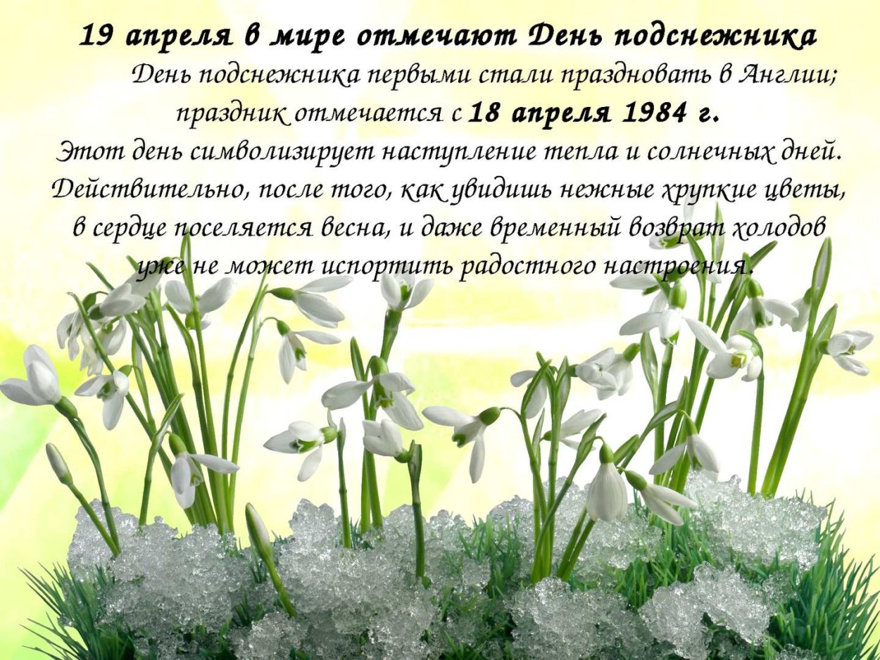 С первым днем весны