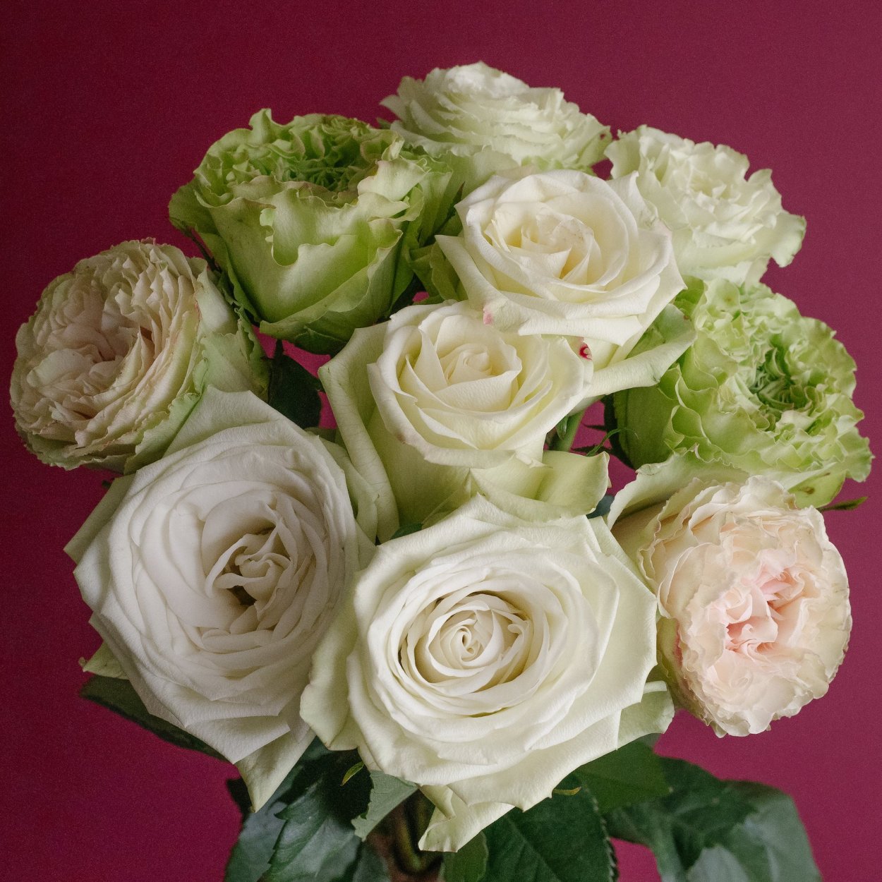 Роза Грин пассион