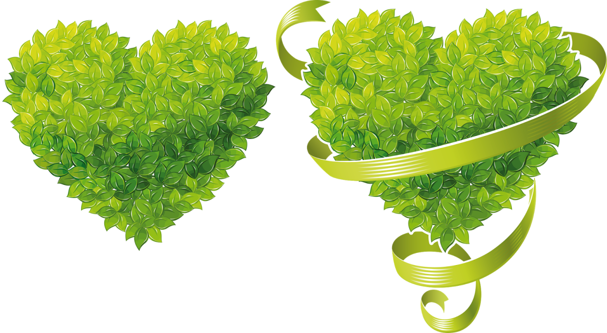 Сердце в зелени