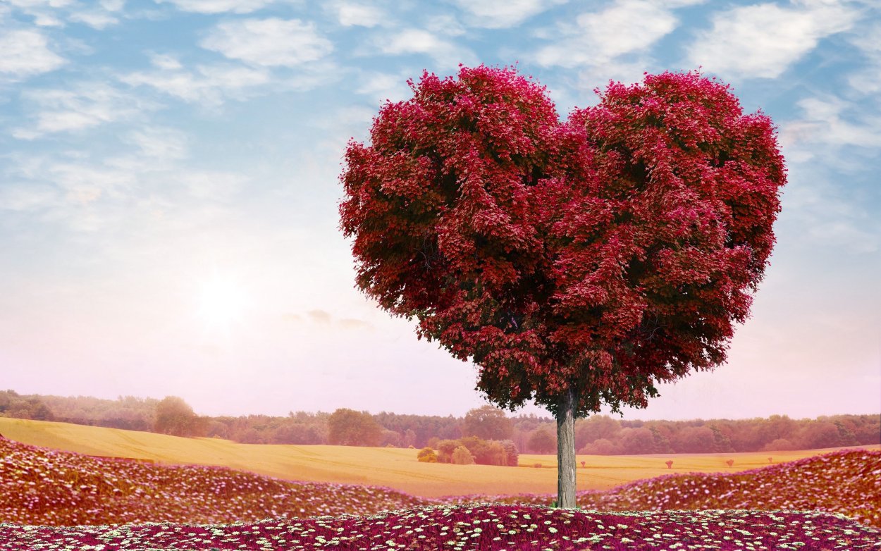 Розовое дерево сердцем