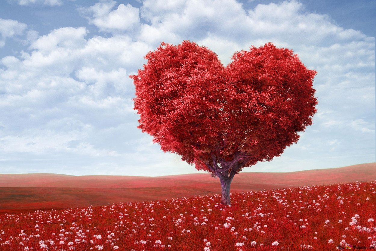 Деревянные цветы