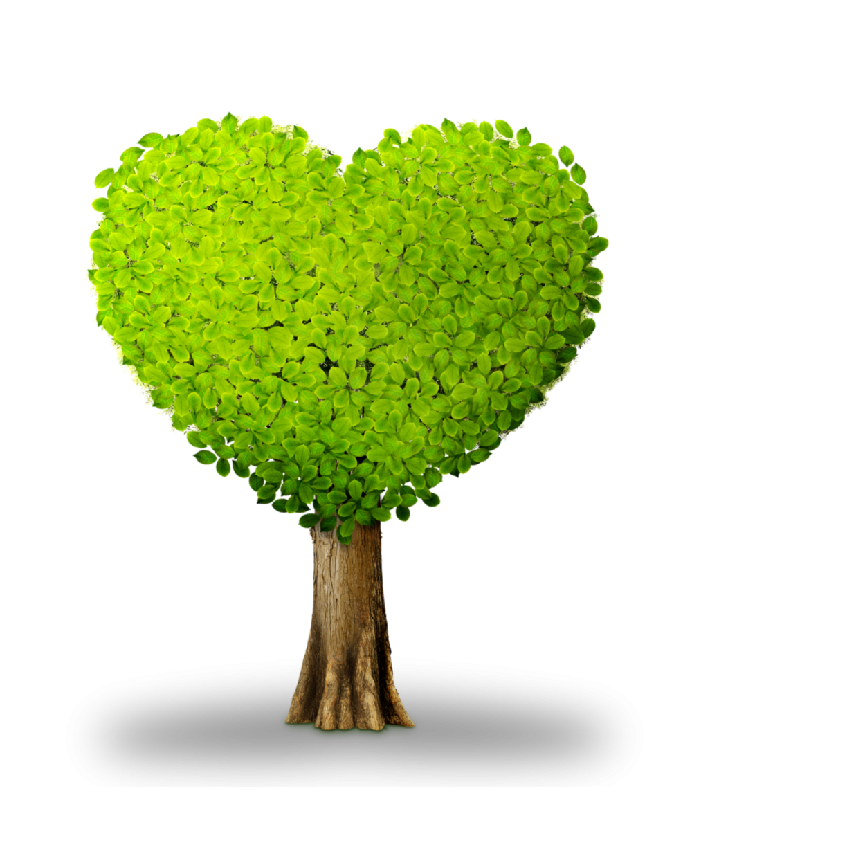 Tree Leafs Art binary