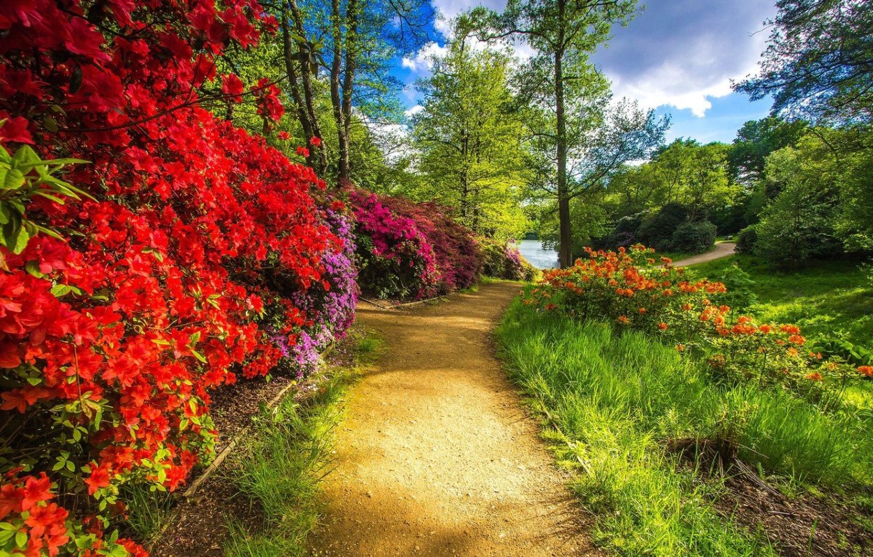 Летний парк