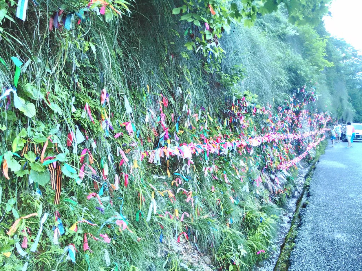 Изящные растения