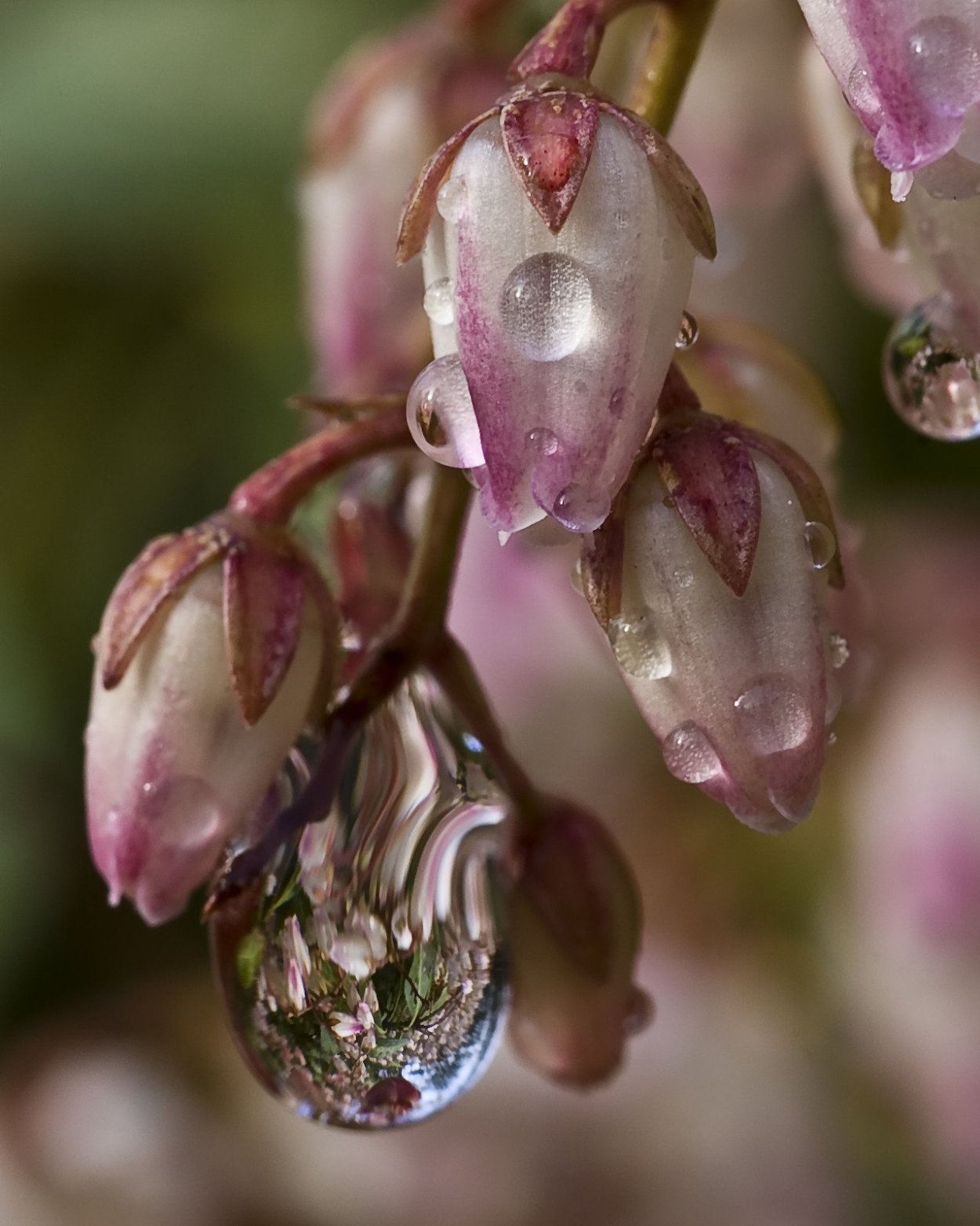 Водопад девичьи слезы Абхазия зимой