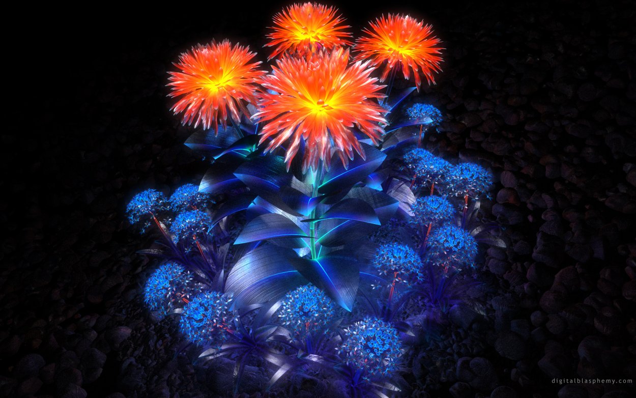 Магия цветов