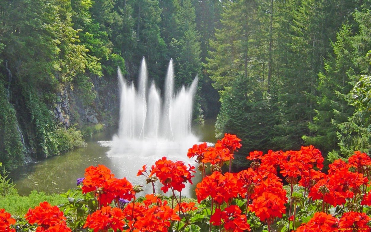 Сады Бутчартов, Канада фонтан Росс.