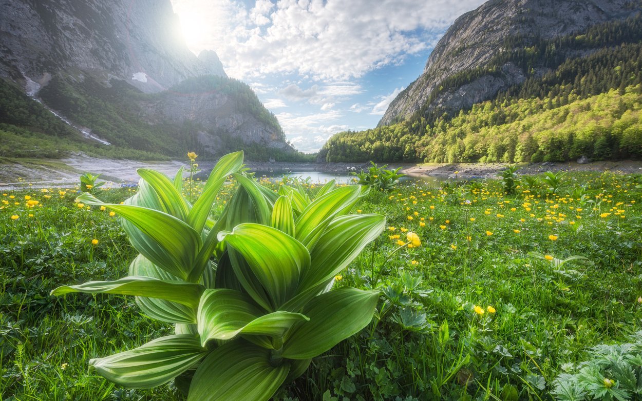 Красивые зеленые горы