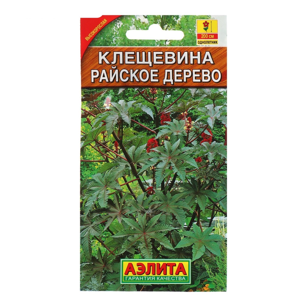 Клещевина райское дерево Аэлита