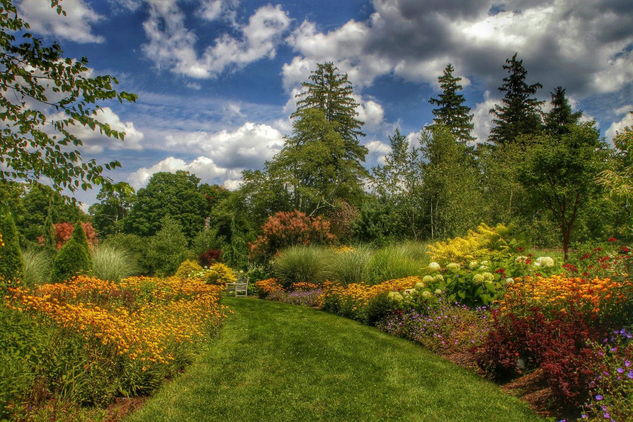 Летний пейзаж