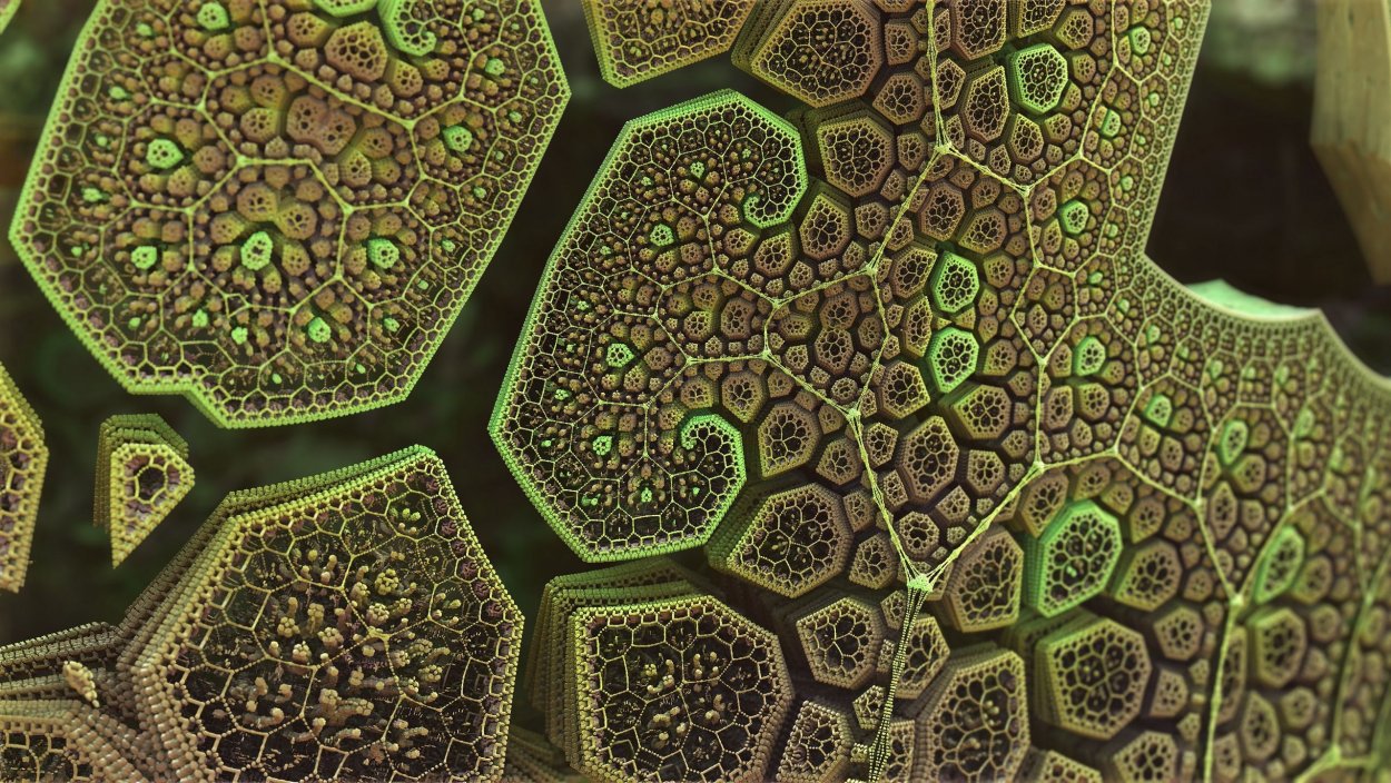 Фракталы в природе