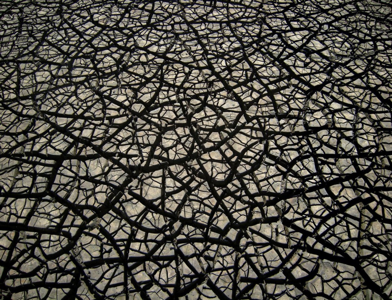 Фракталы в природе