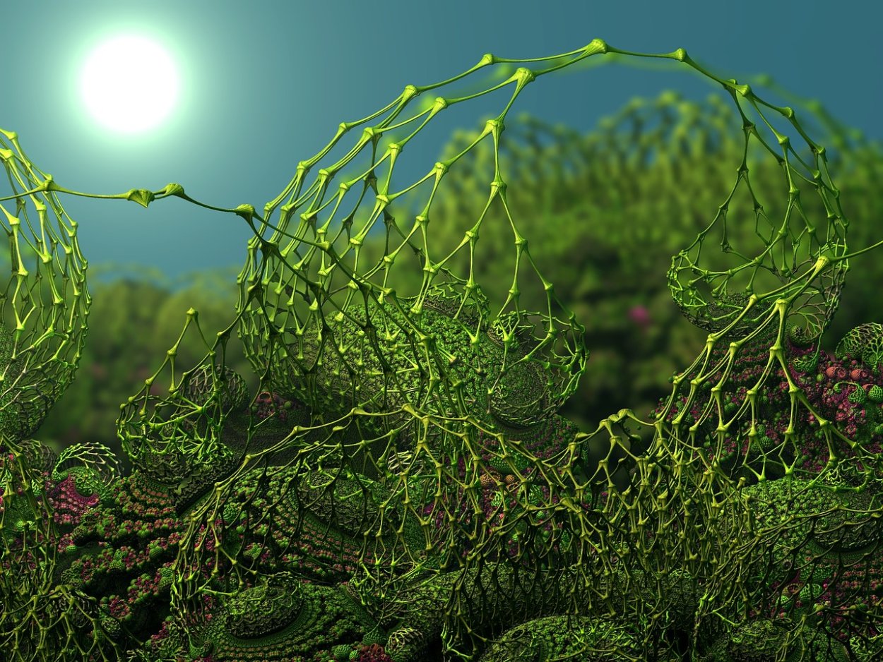 Фракталы цветы