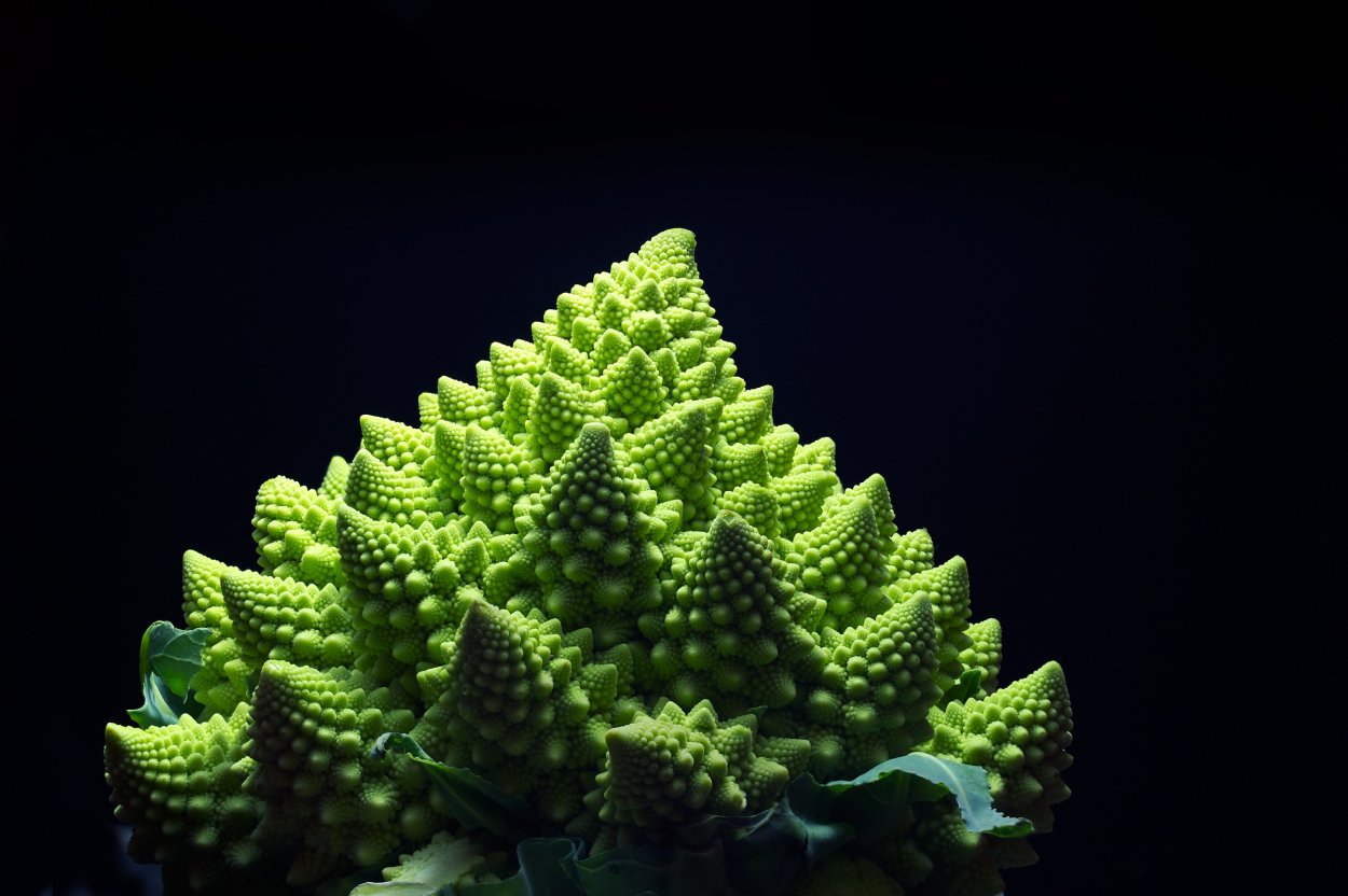 Фракталы в природе