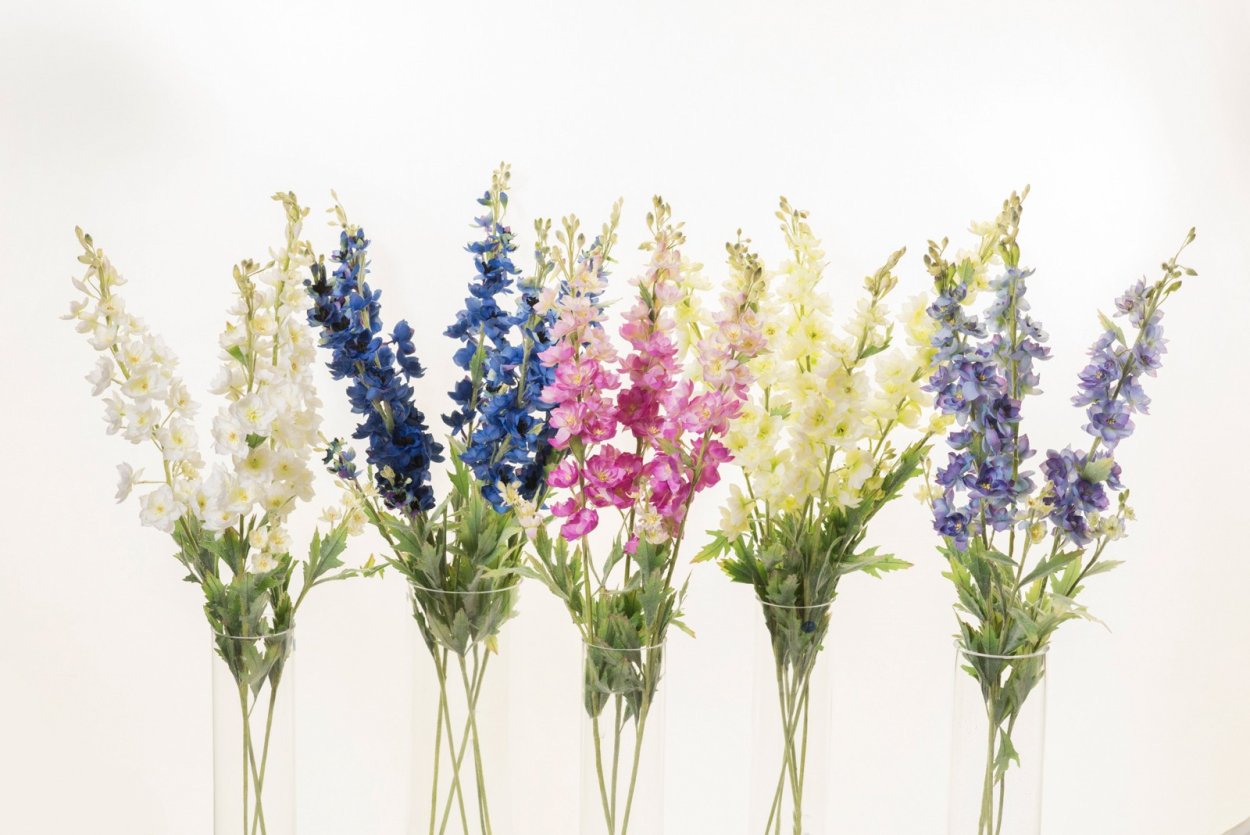 Дельфиниум срезка