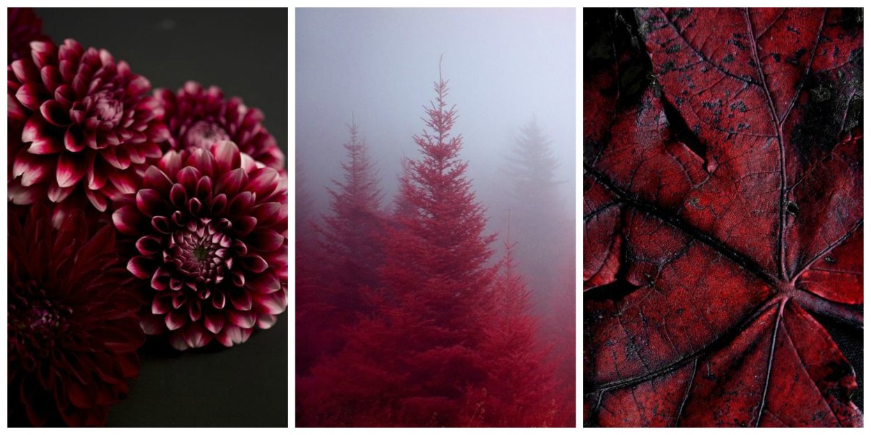 Бургунди Эстетика