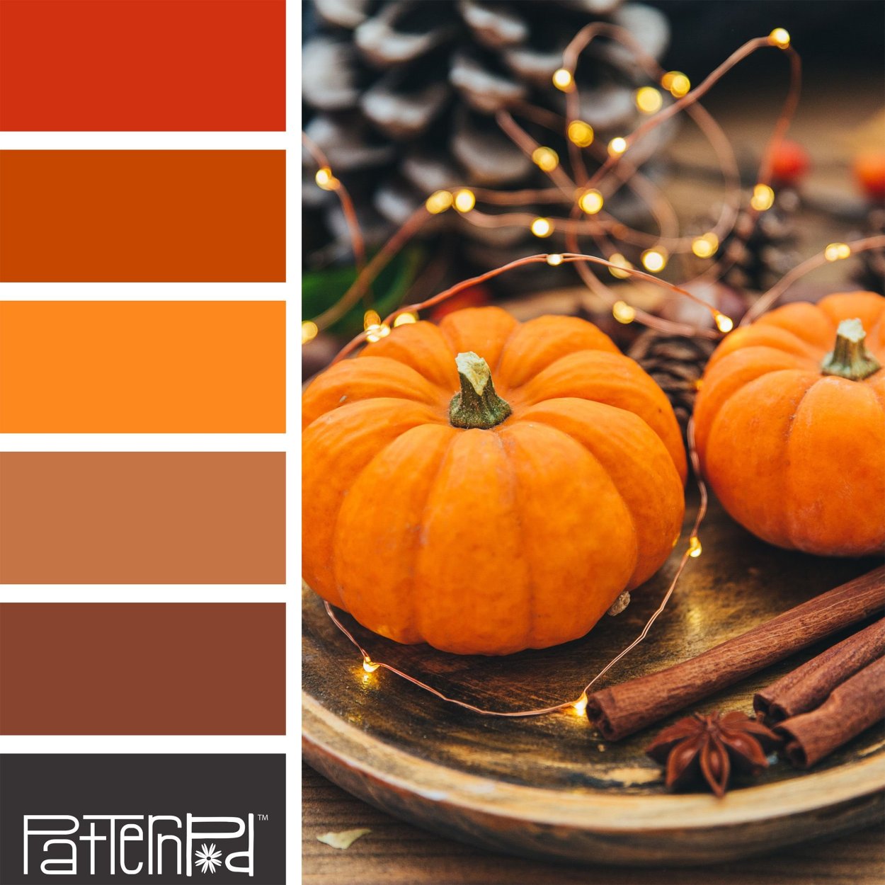 Терракотовый цвет сочетание палитра