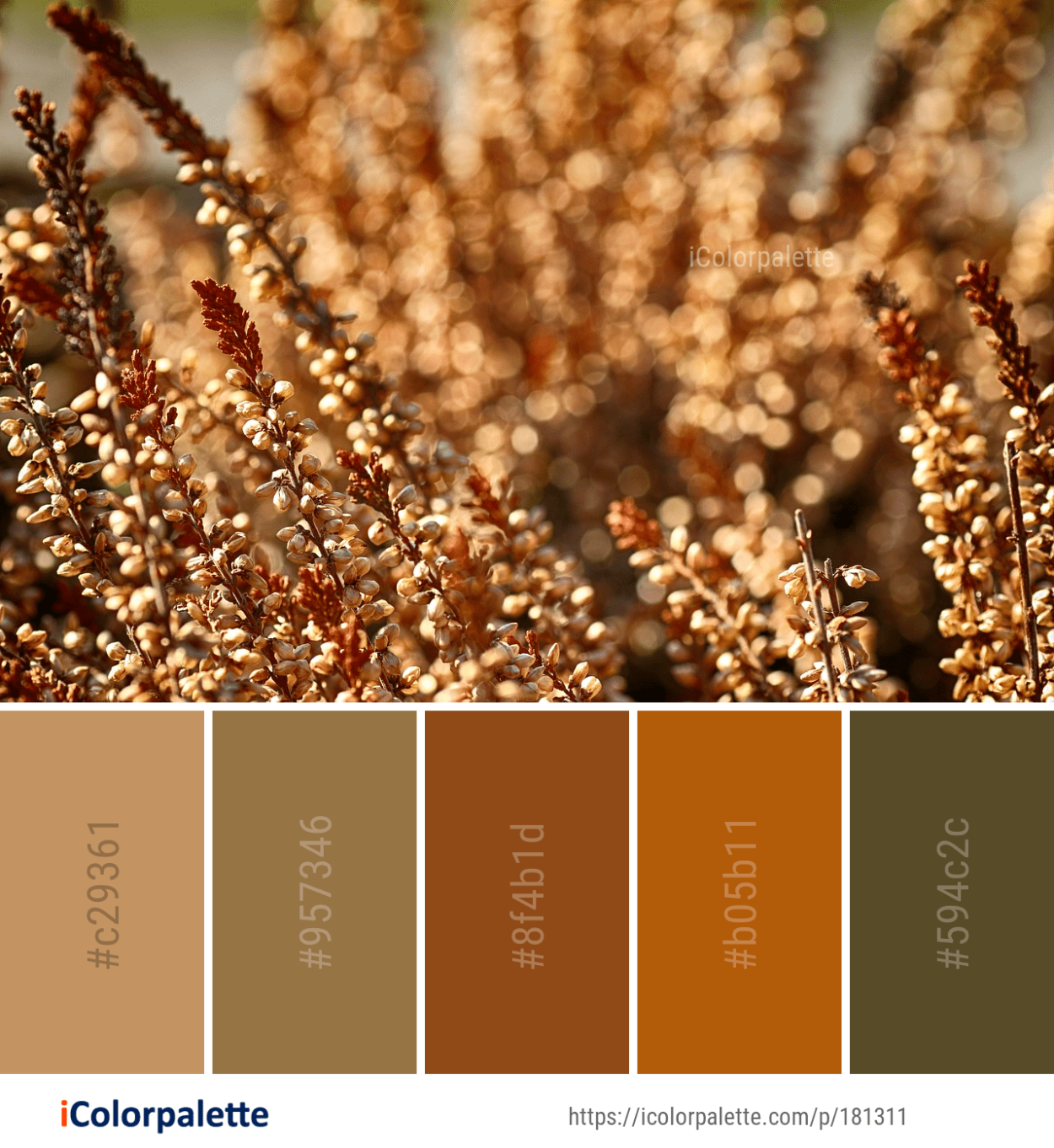 Цветовая гамма с золотом