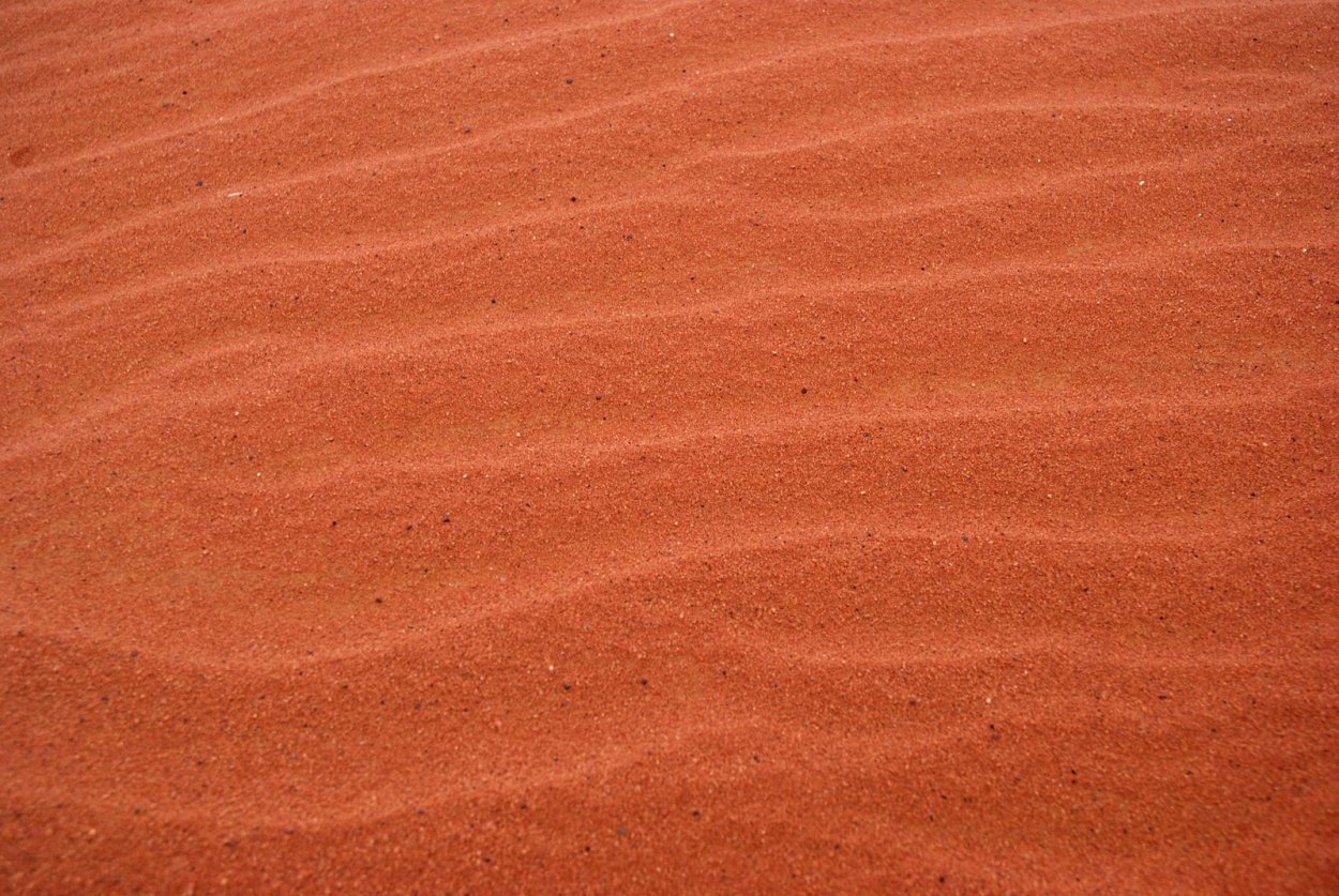 Сочетание цветов оранжевый черный