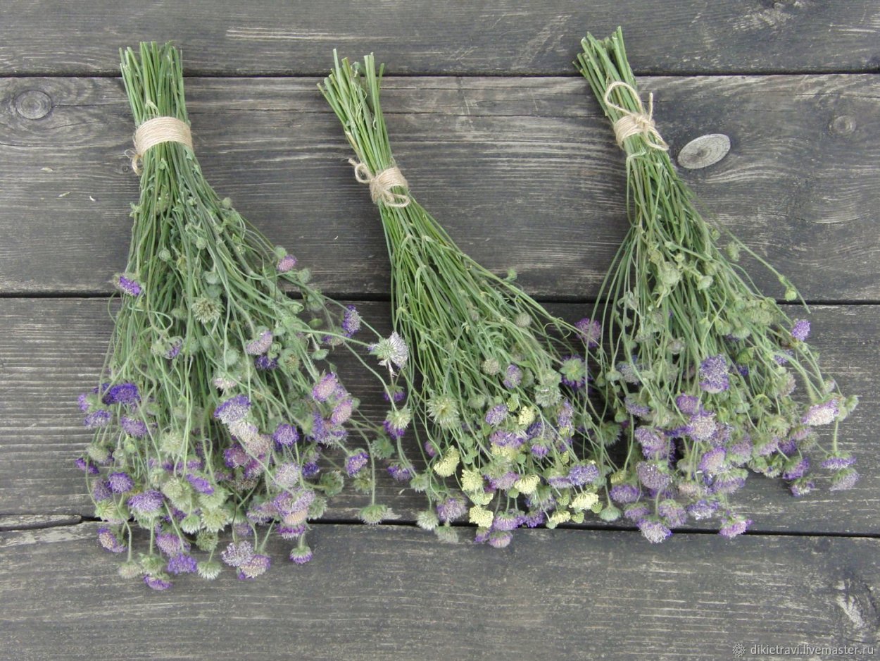 Сухоцветы Элитупак зверобой