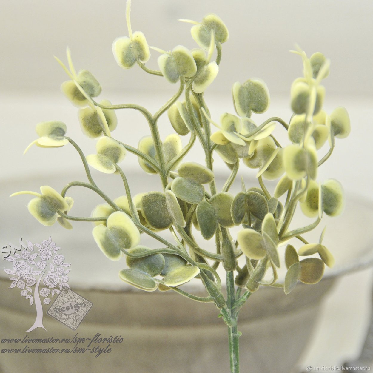 Разновидности Грин Белла цветы