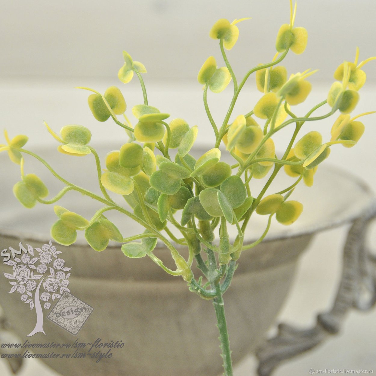 Лепидиум Green Bell