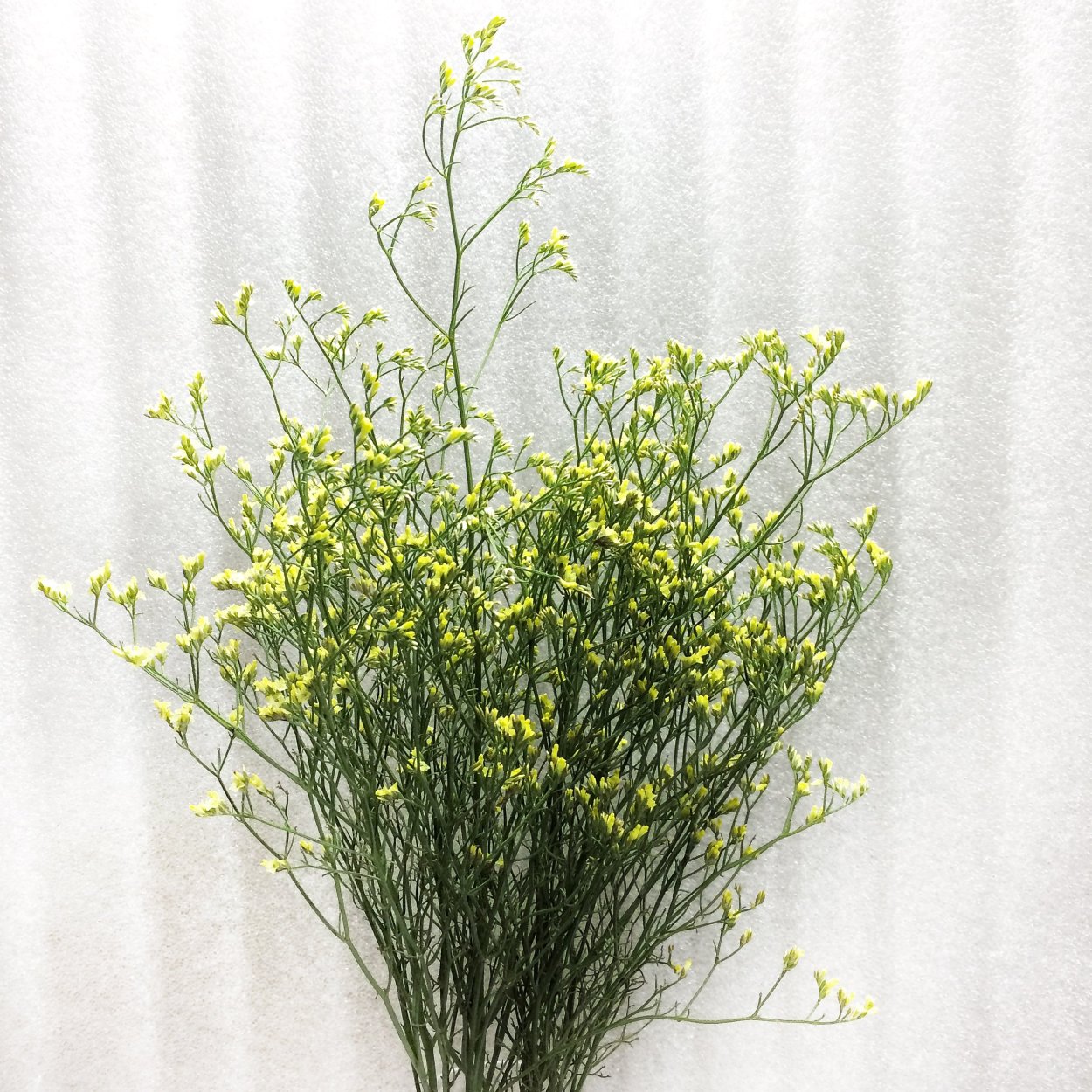 Грин Белл зелень