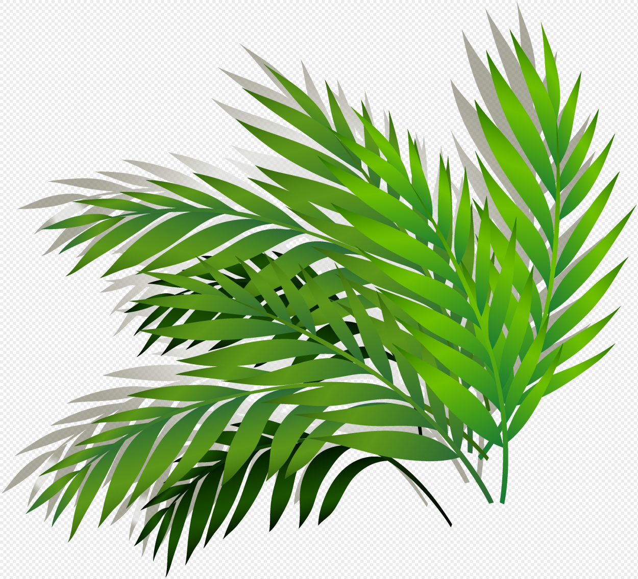 Palm leaf cartoon