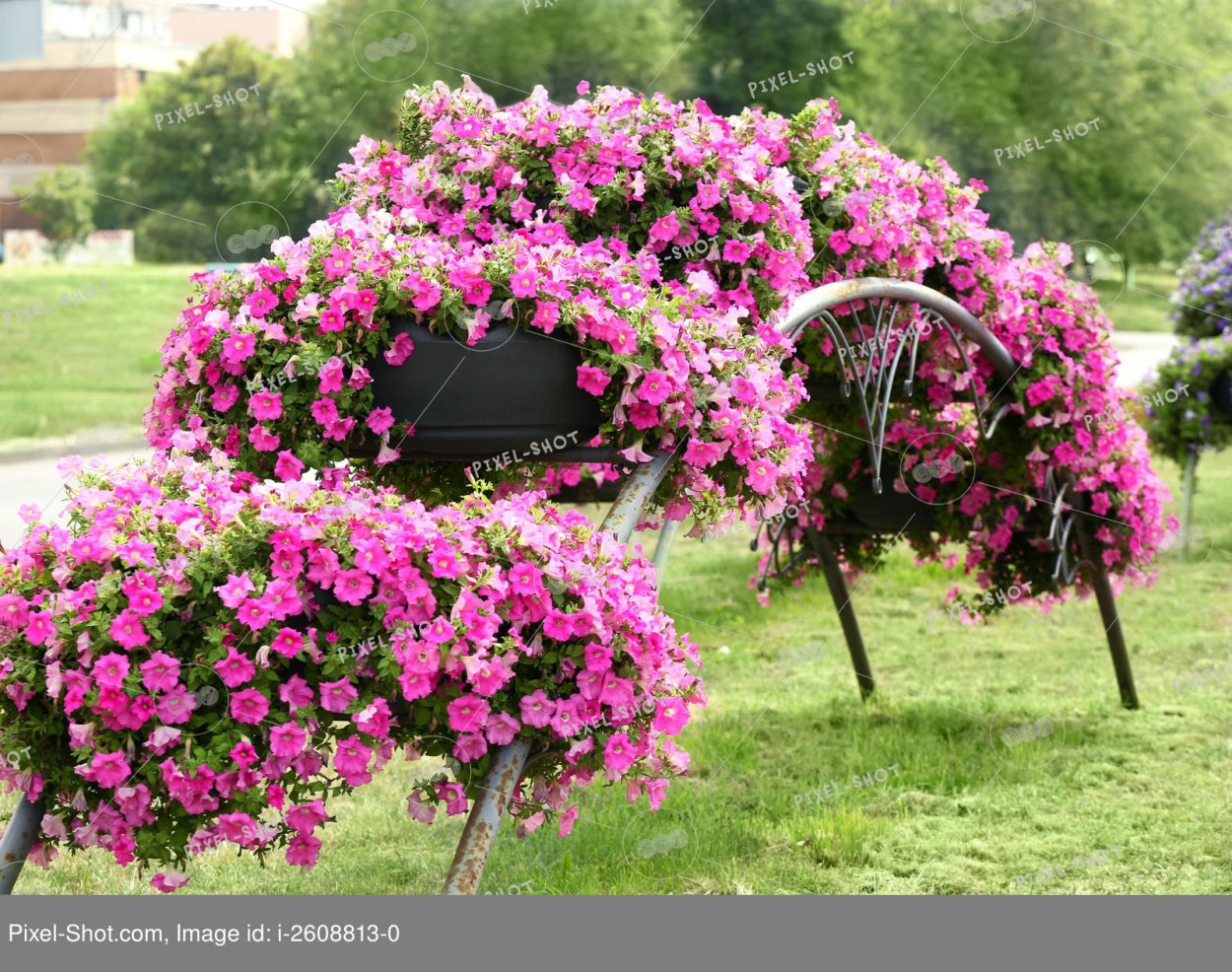 Zacvetet Марина Патрина