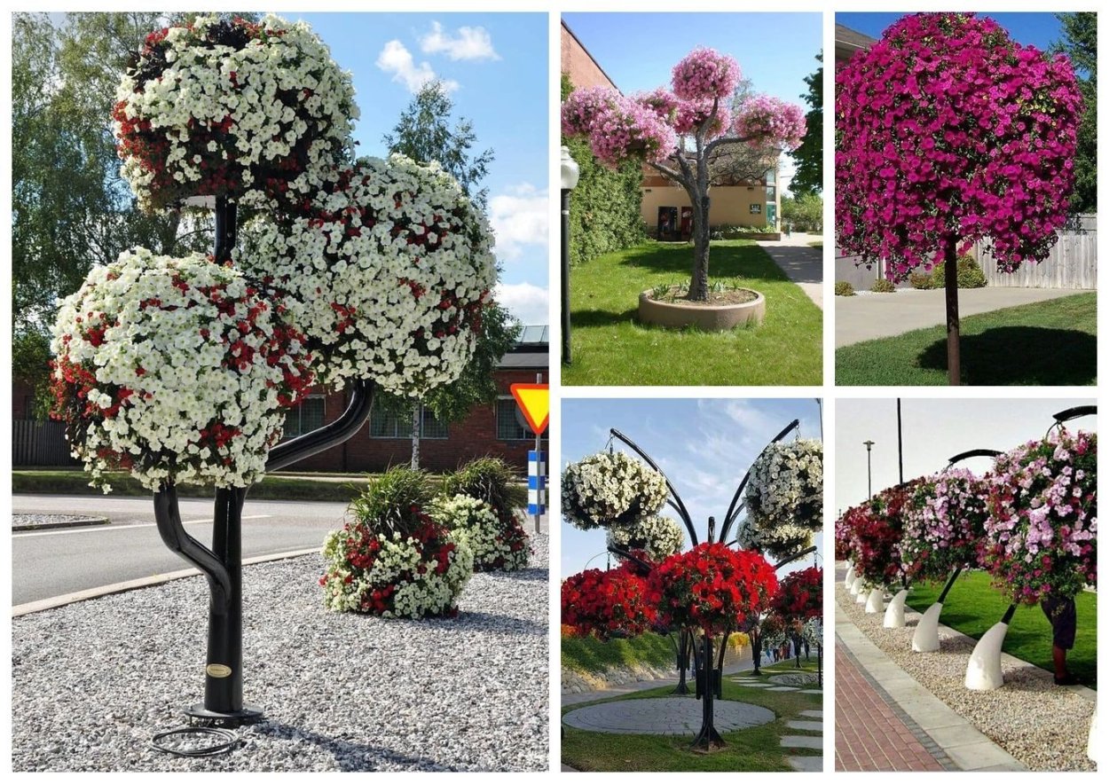 Miracle Garden Дубай