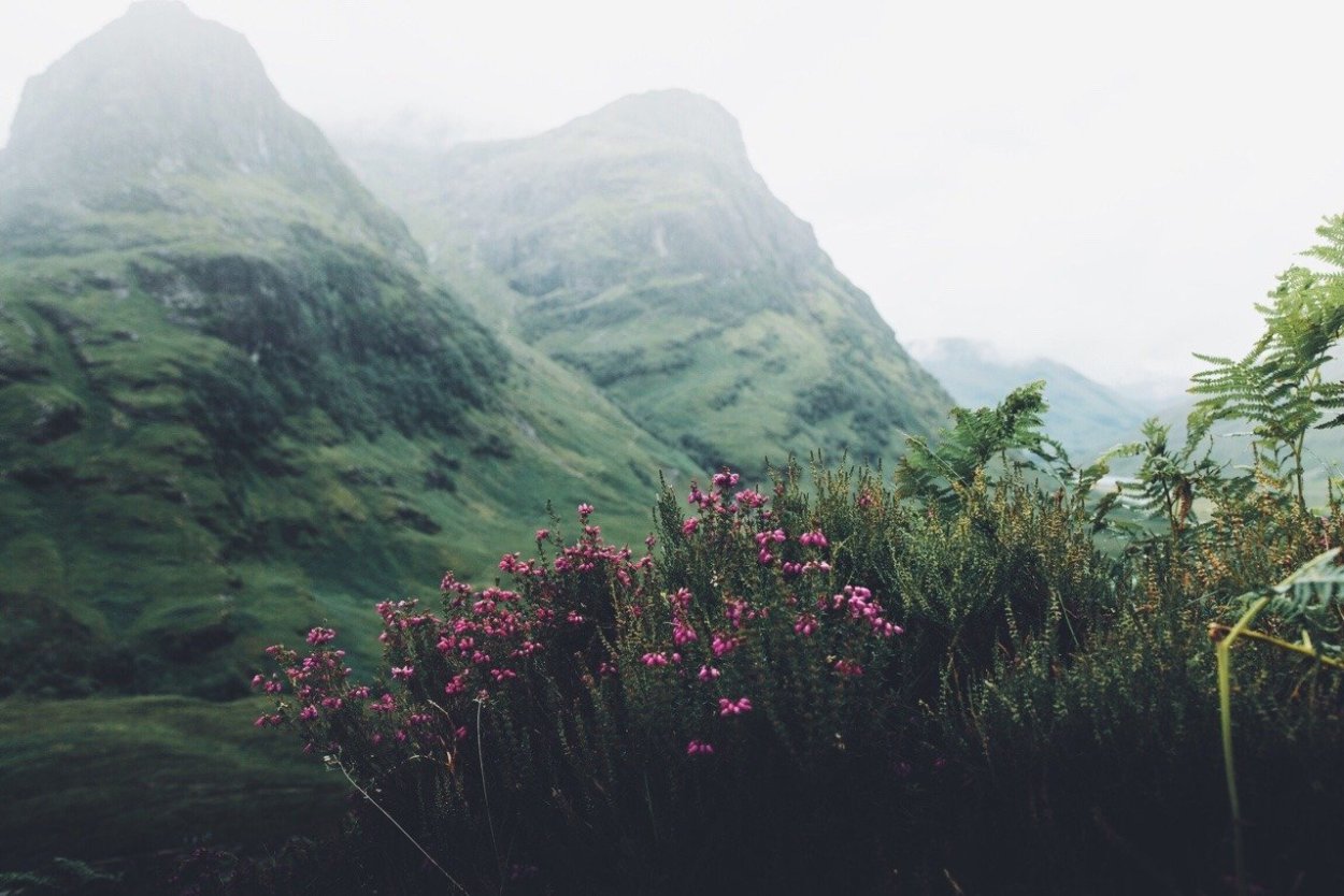 Зеленые горы Эстетика