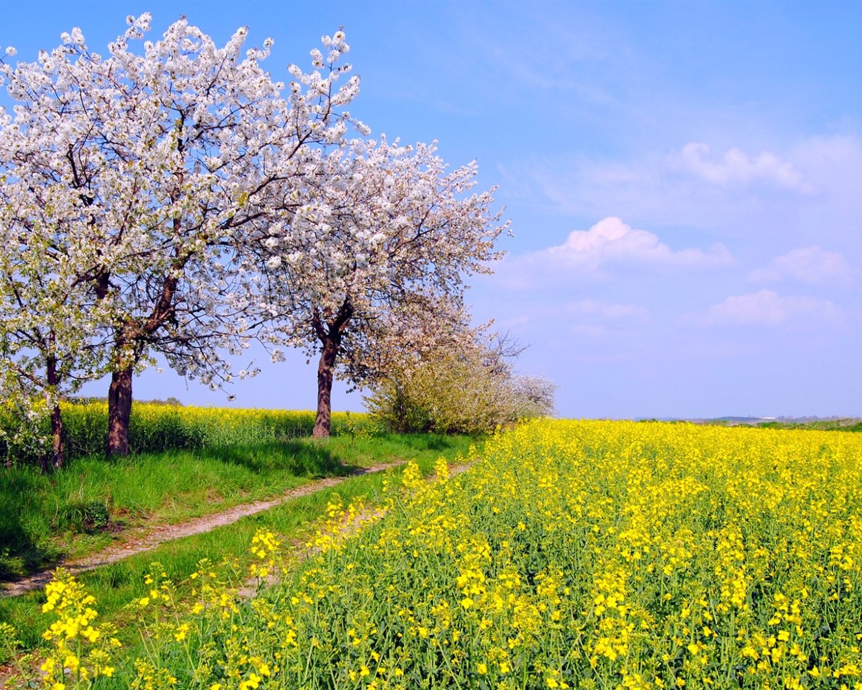 Природа веса