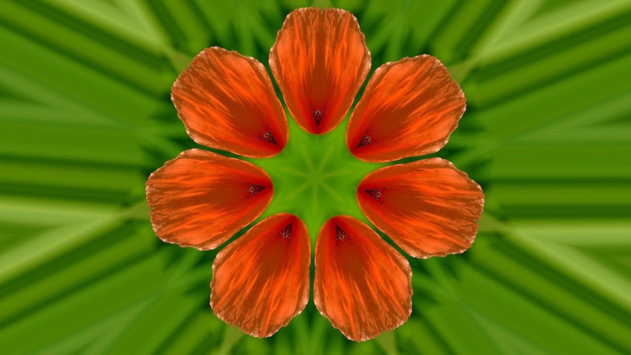 Горизонтальная симметрия в природе