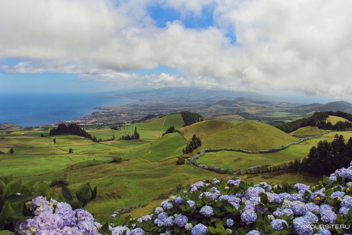 The Madeira and Azores Islands