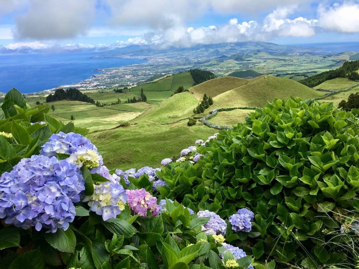 Island Sao Miguel small